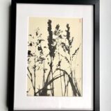 Framed lithograph - extract from the notebook "Les Natugraphies" - Albert de Visscher