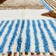 Handmade Azilal rug – Pre-order #AZ006