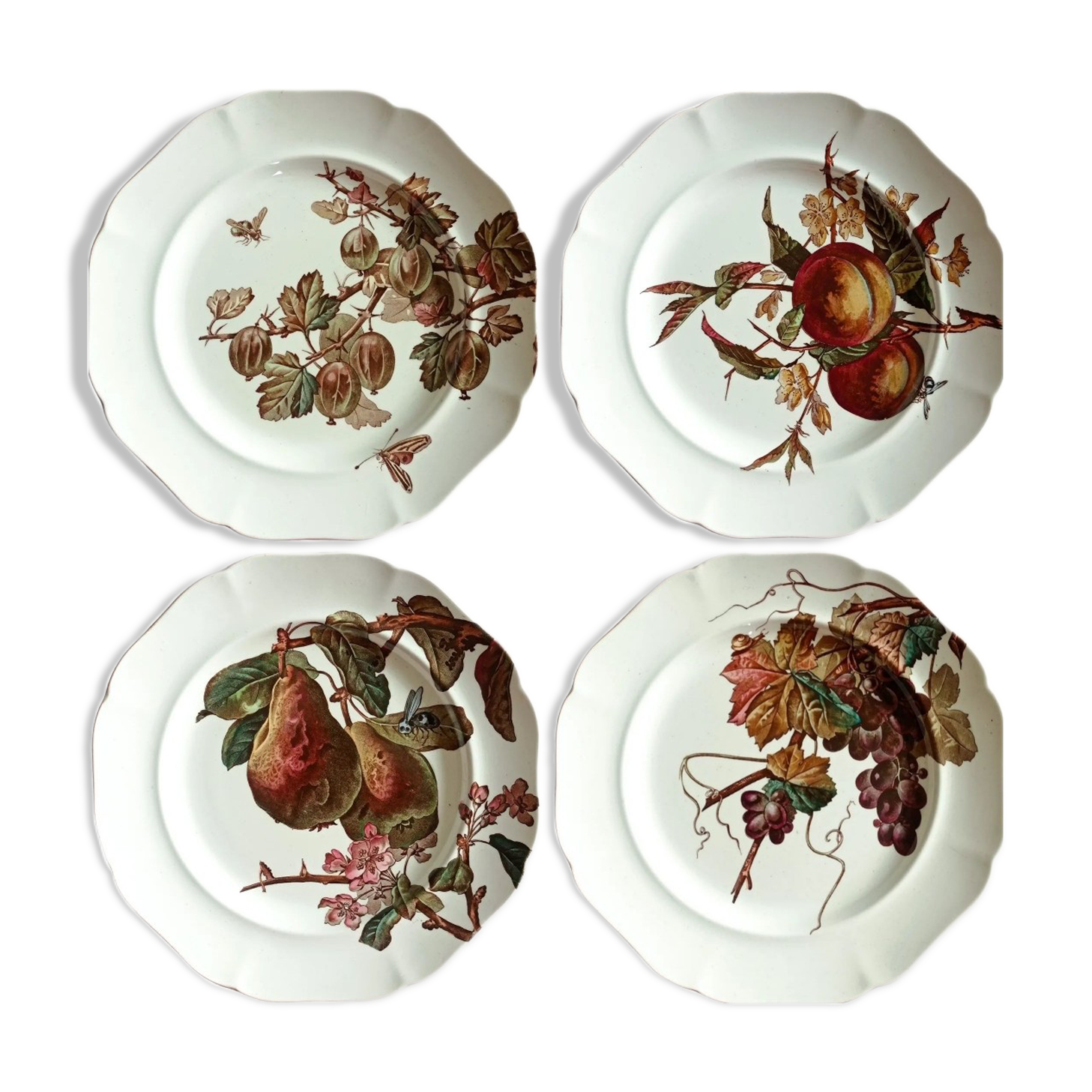 4 assiettes plates Brown-Westhead Moore and Co