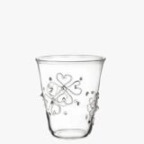 Glass for water