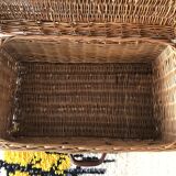 Trunk in ancient rattan