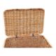 Rattan trunk
