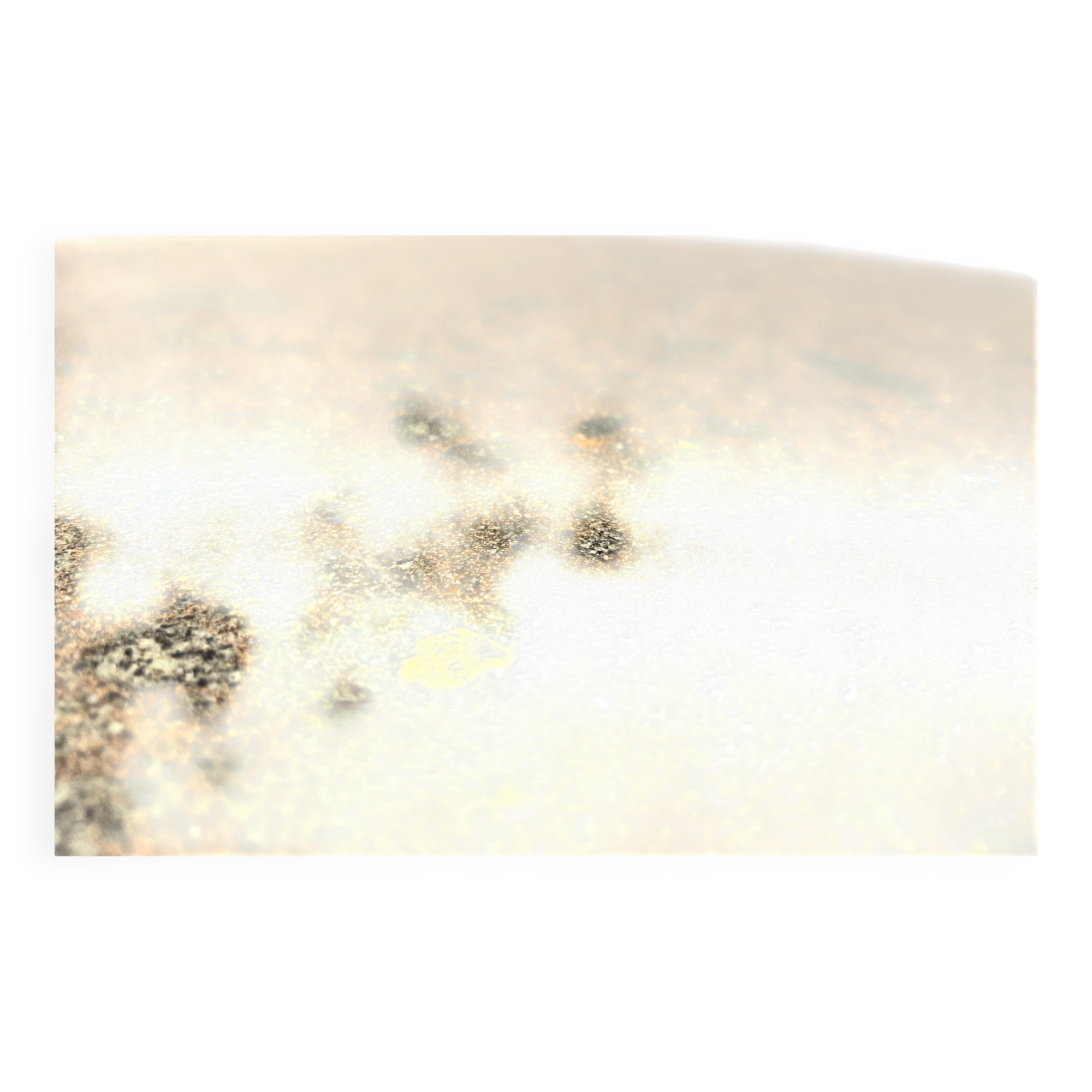 Vintage granite clover-shaped coffee table, 1970s