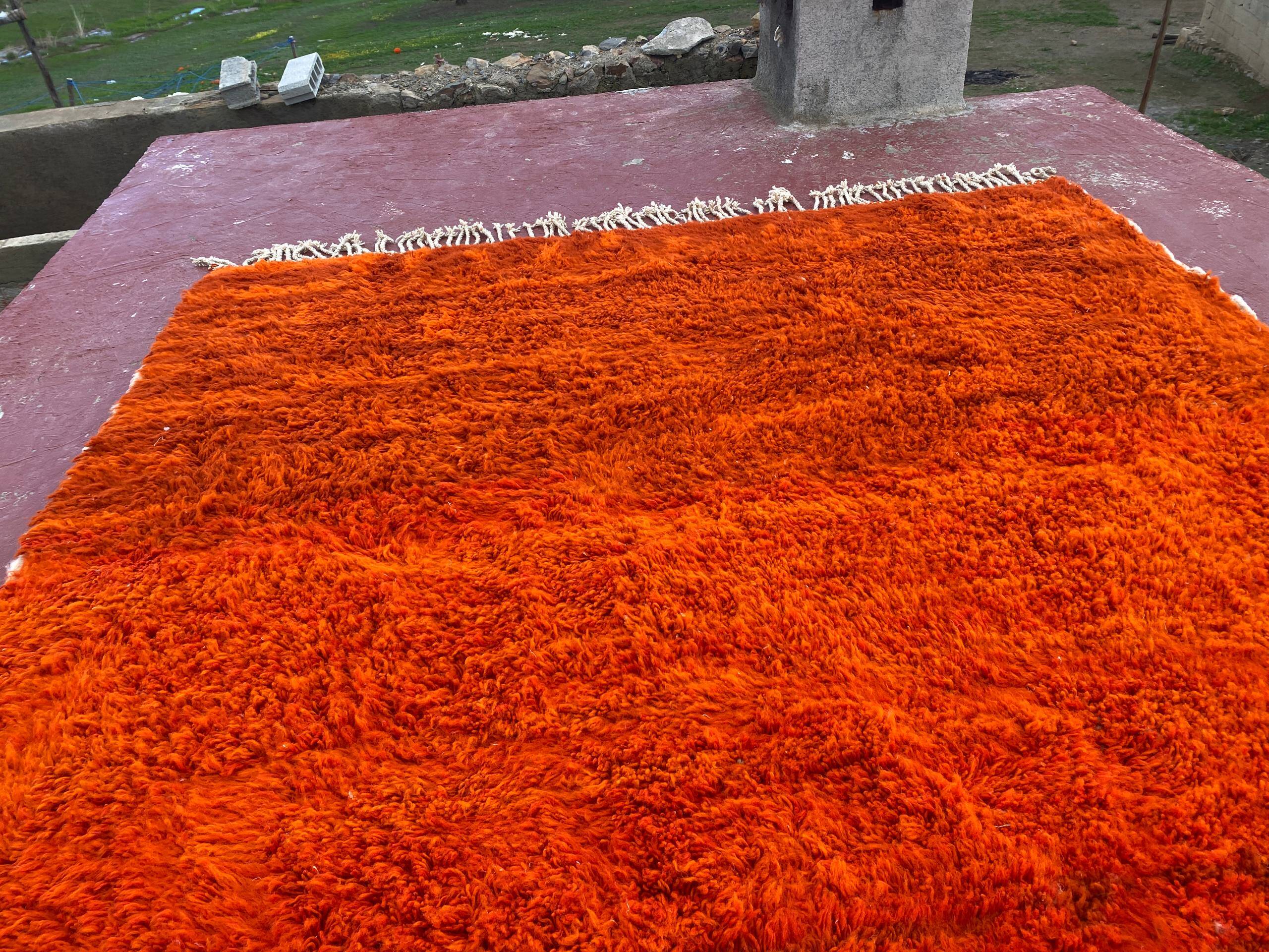 Large Beni Ouarain Rug 260x260 cm – Vibrant Orange Wool, Unique Piece