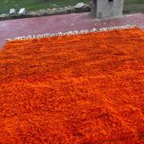 Large Beni Ouarain Rug 260x260 cm – Vibrant Orange Wool, Unique Piece