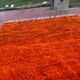 Large Beni Ouarain Rug 260x260 cm – Vibrant Orange Wool, Unique Piece