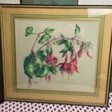 Old pastel Fuchsias framed