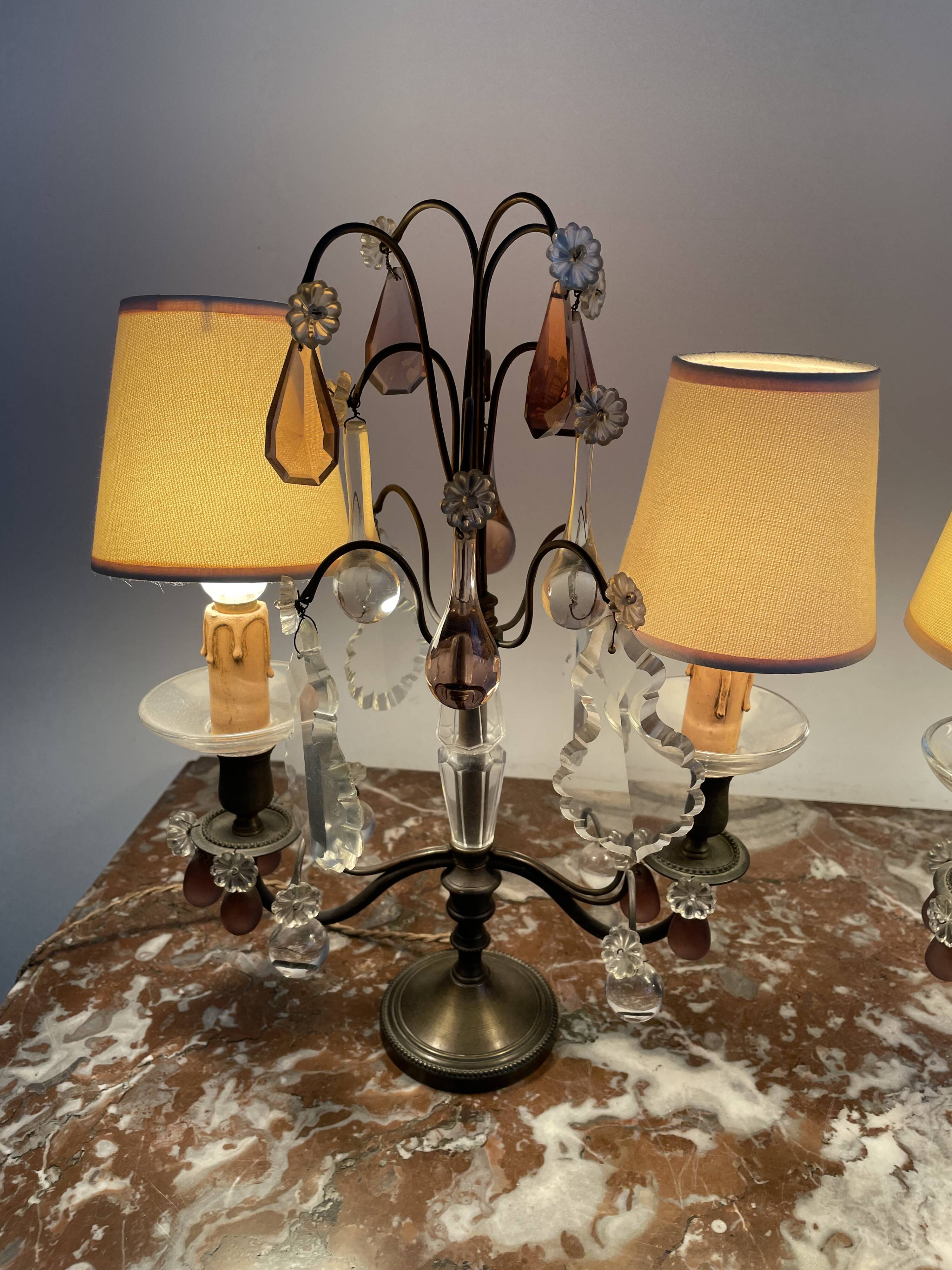 pair of chandeliers, lamp, silver-plated metal, crystal, tassels, florets, pendant, rosettes