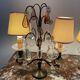 pair of chandeliers, lamp, silver-plated metal, crystal, tassels, florets, pendant, rosettes