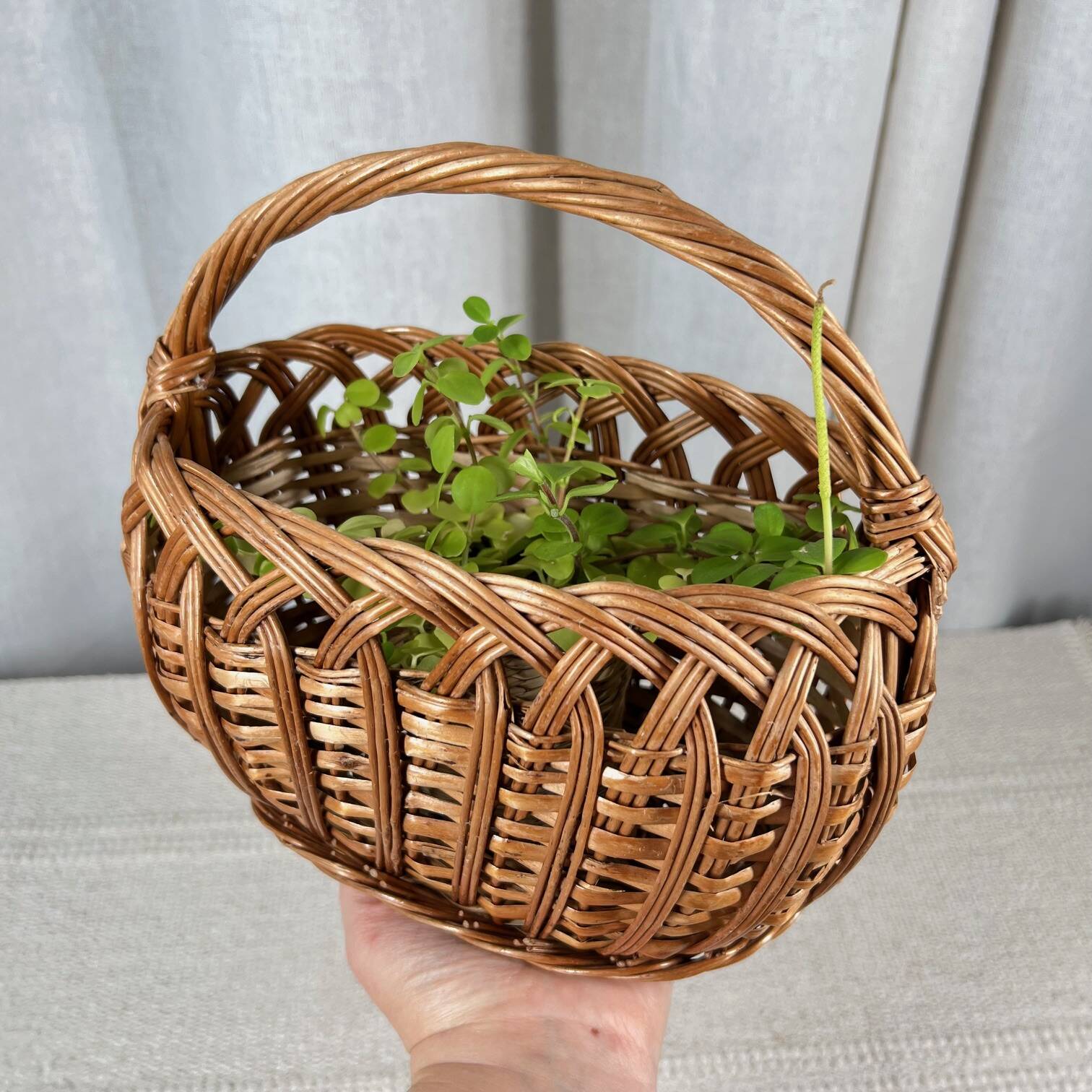 Small oval woven wicker basket