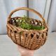Petit panier en osier tressé ovale