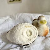Duck barbotine salt and pepper shaker