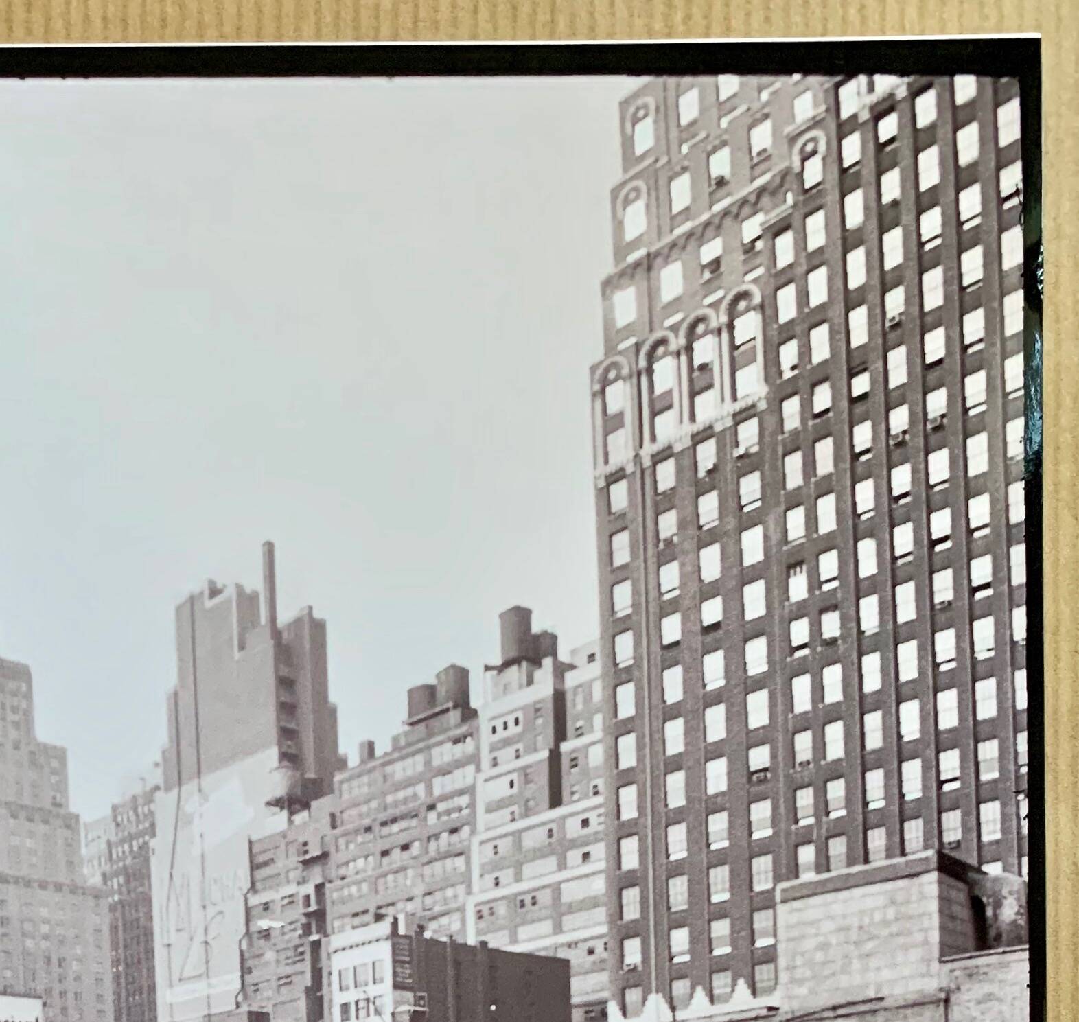 Fine Art Photography by Angelo Rizzuto “Cat on a Car” – New York, 1958