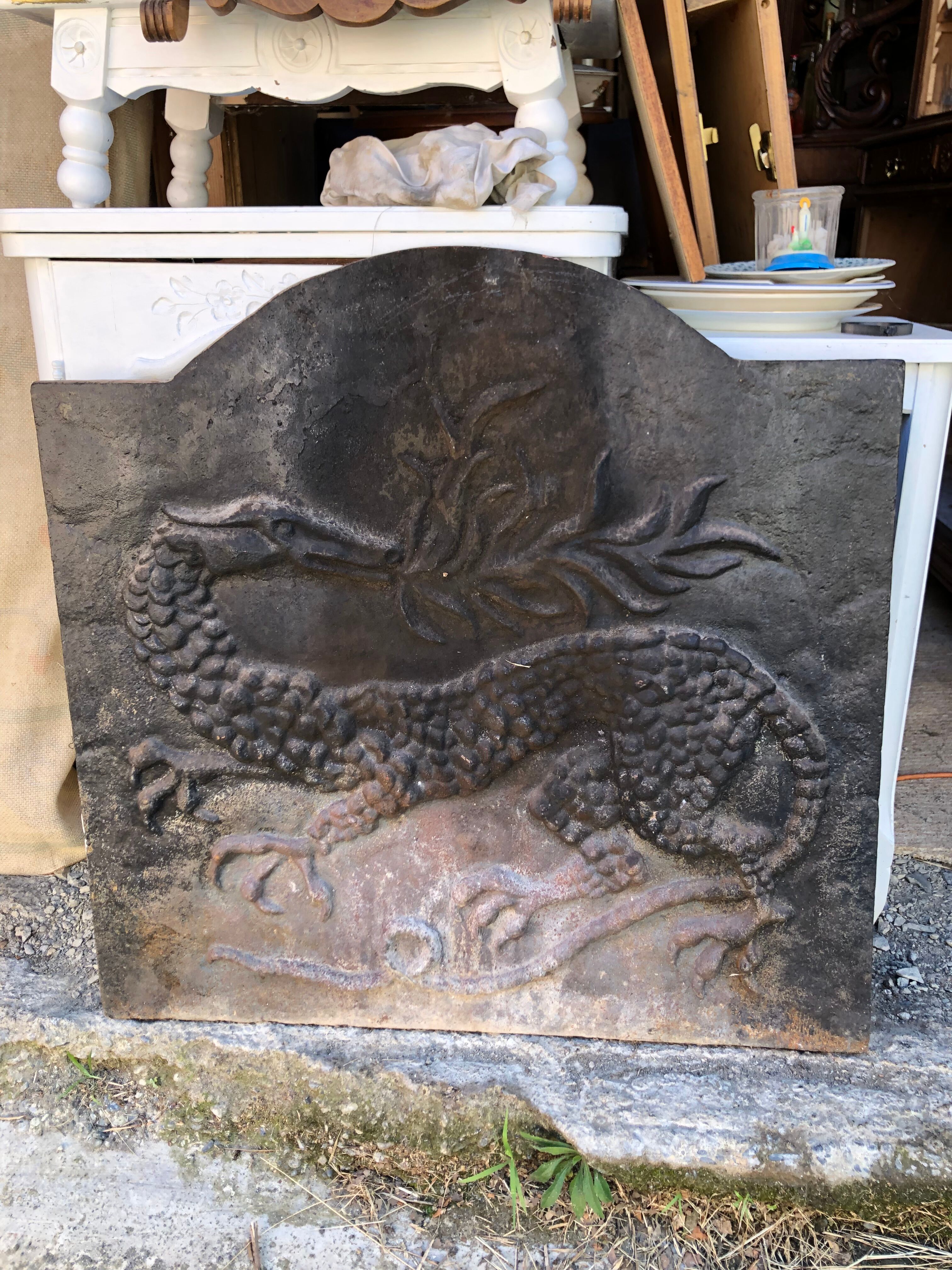 Cast iron fireplace plate