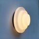 Mid-century Dutch ceiling or wall lamps by Raak, set of 2