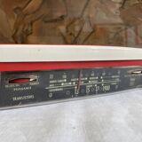 Decorative Radiola nomadic radio
