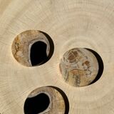 Set of 3 fossilized wooden coasters (clear)