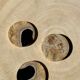 Set of 3 fossilized wooden coasters (clear)