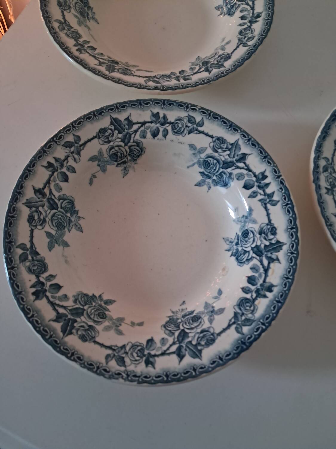 Plates crown of roses. Iron earth