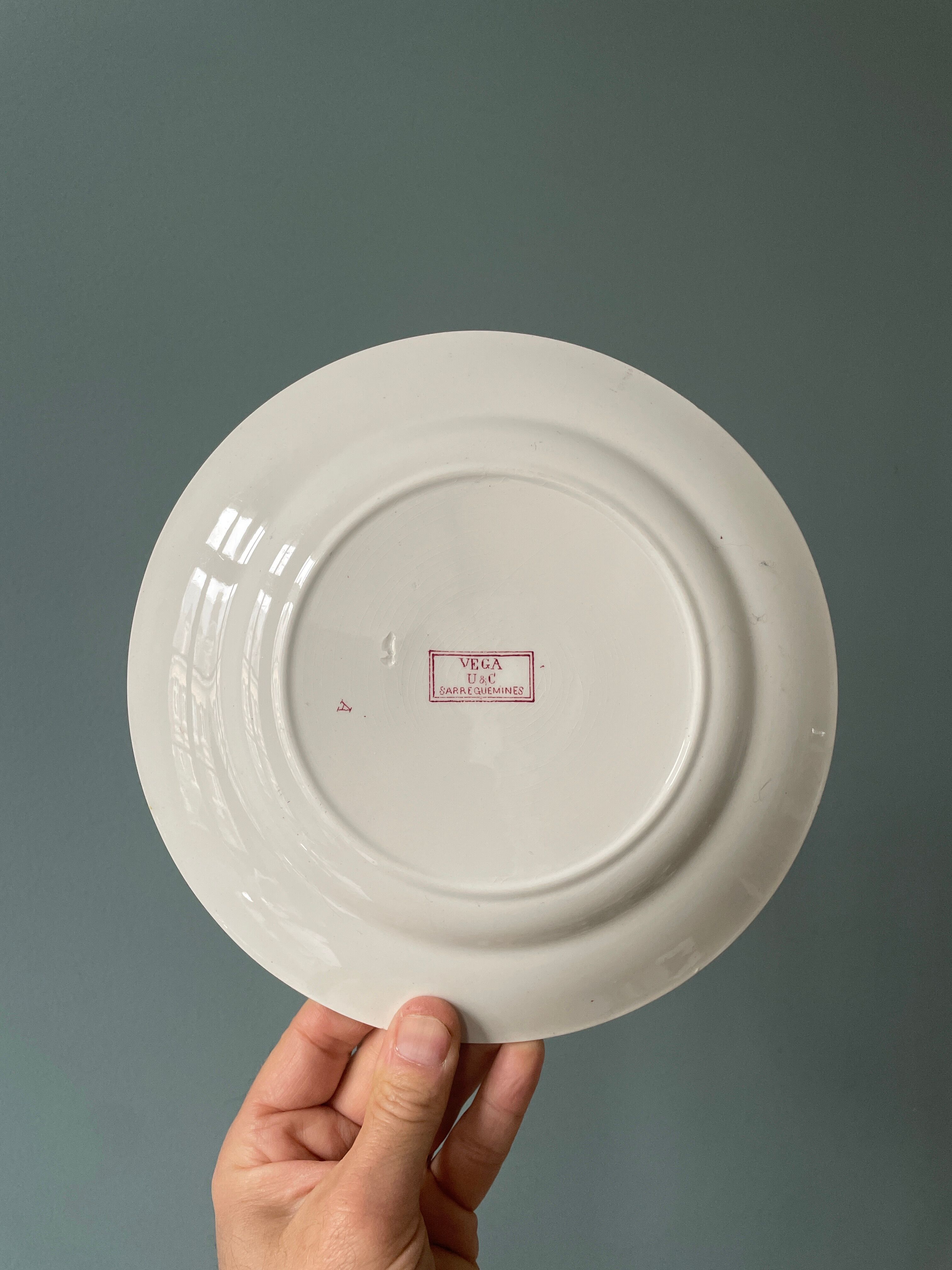 Set of 4 flat plates "Vega" U&C Sarreguemines