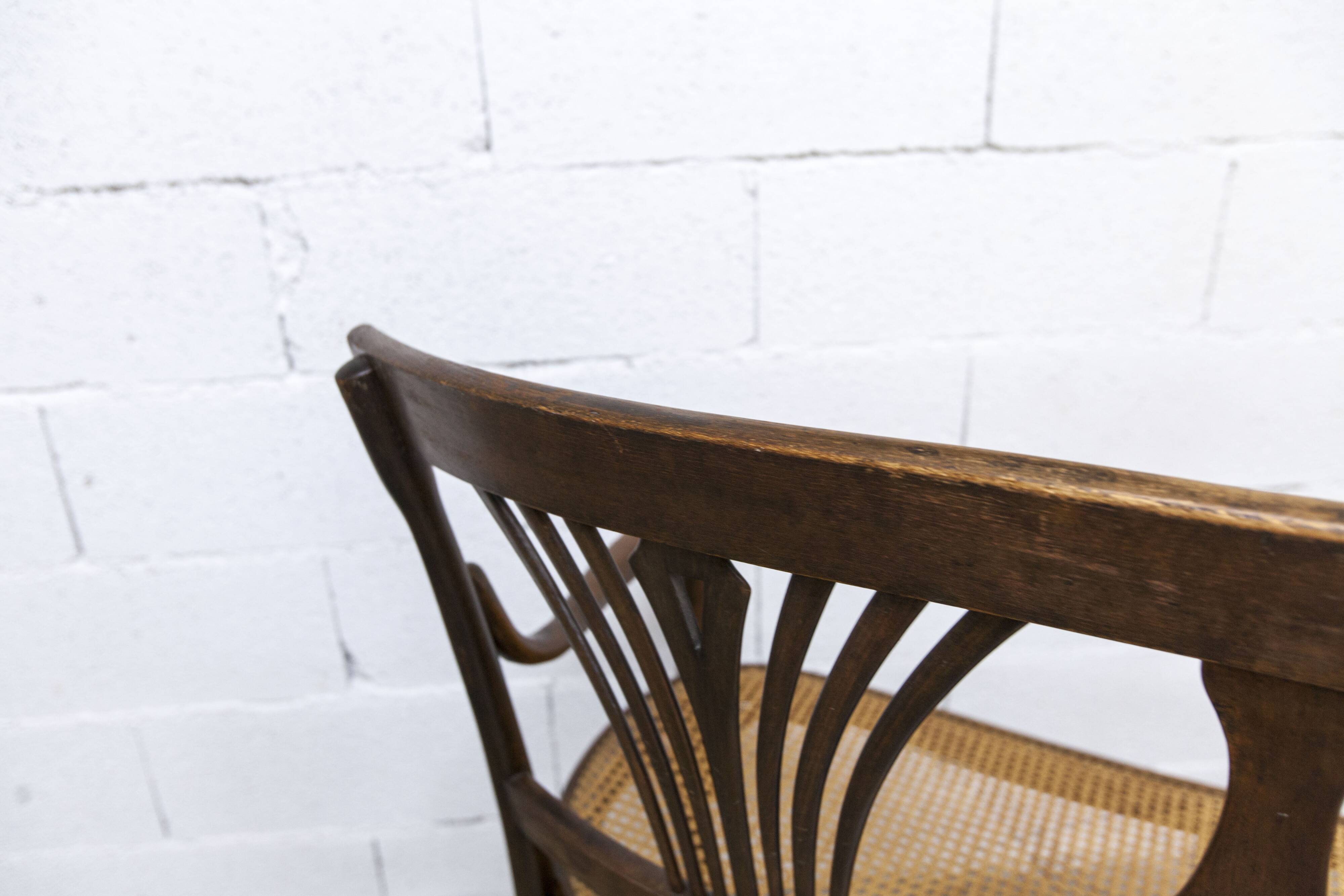 Fischel bench 1930 curved wood artisanal cane handmade