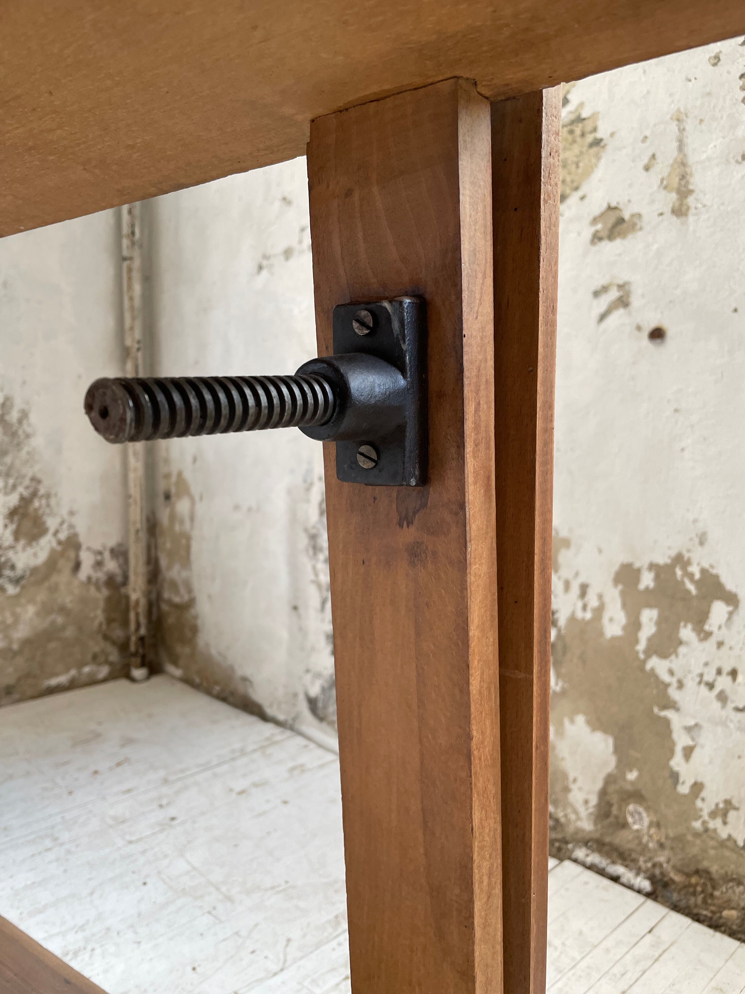 Established XS in cherry tree