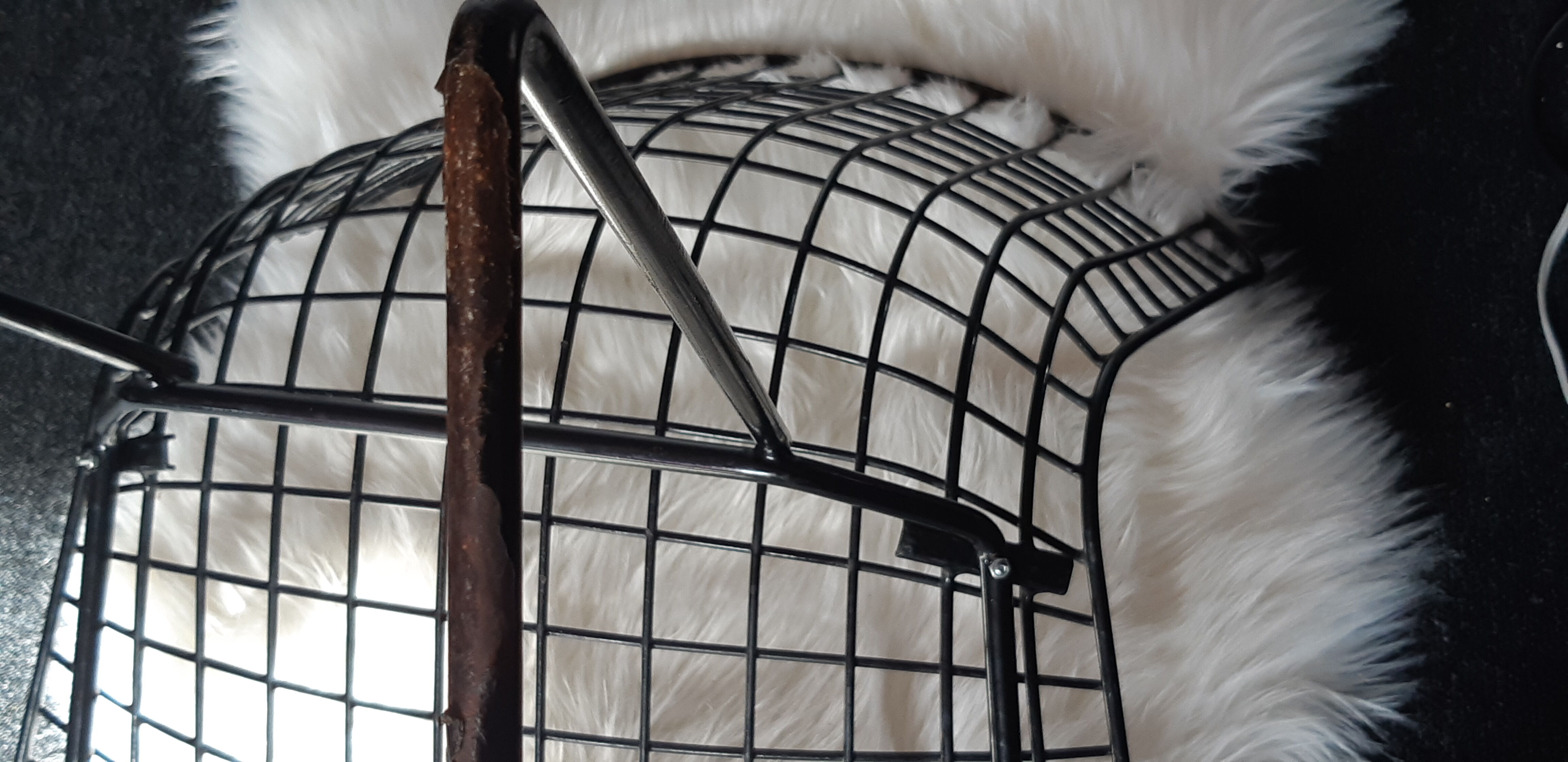 Chair by Harry Bertoia