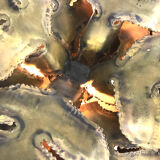 Palm lamp for Maison Jansen House