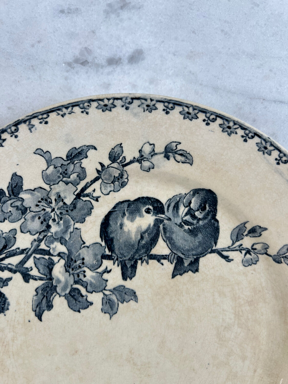 Iron earth plate Sarreguemines favourite