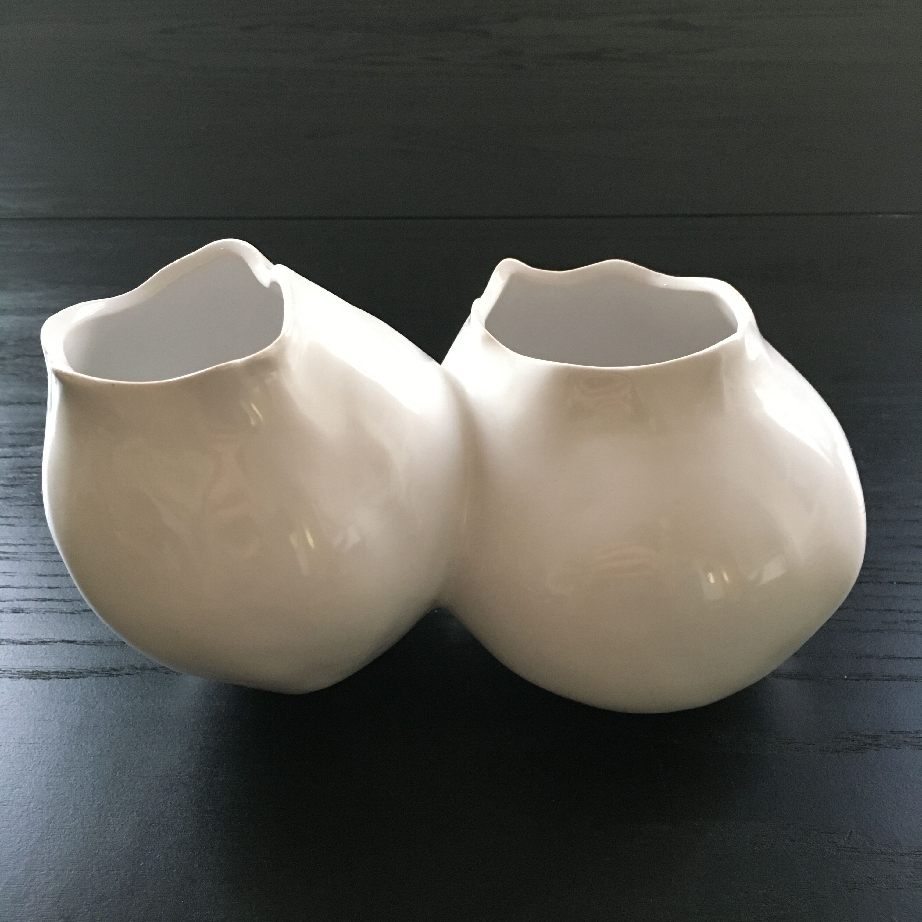 Double organic shaped vase