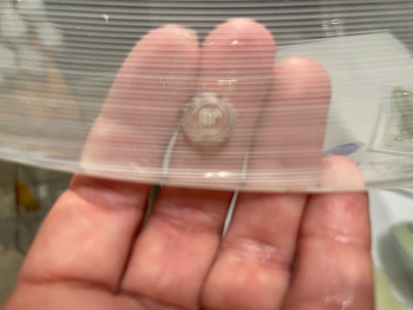 Venetian Murano Glass Light Pendant by La Murrina