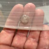 Venetian Murano Glass Light Pendant by La Murrina