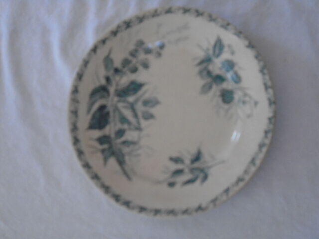 2 Plates faience old Bondonviller decoration MURE wild fruit iron earth diameter 22 cm