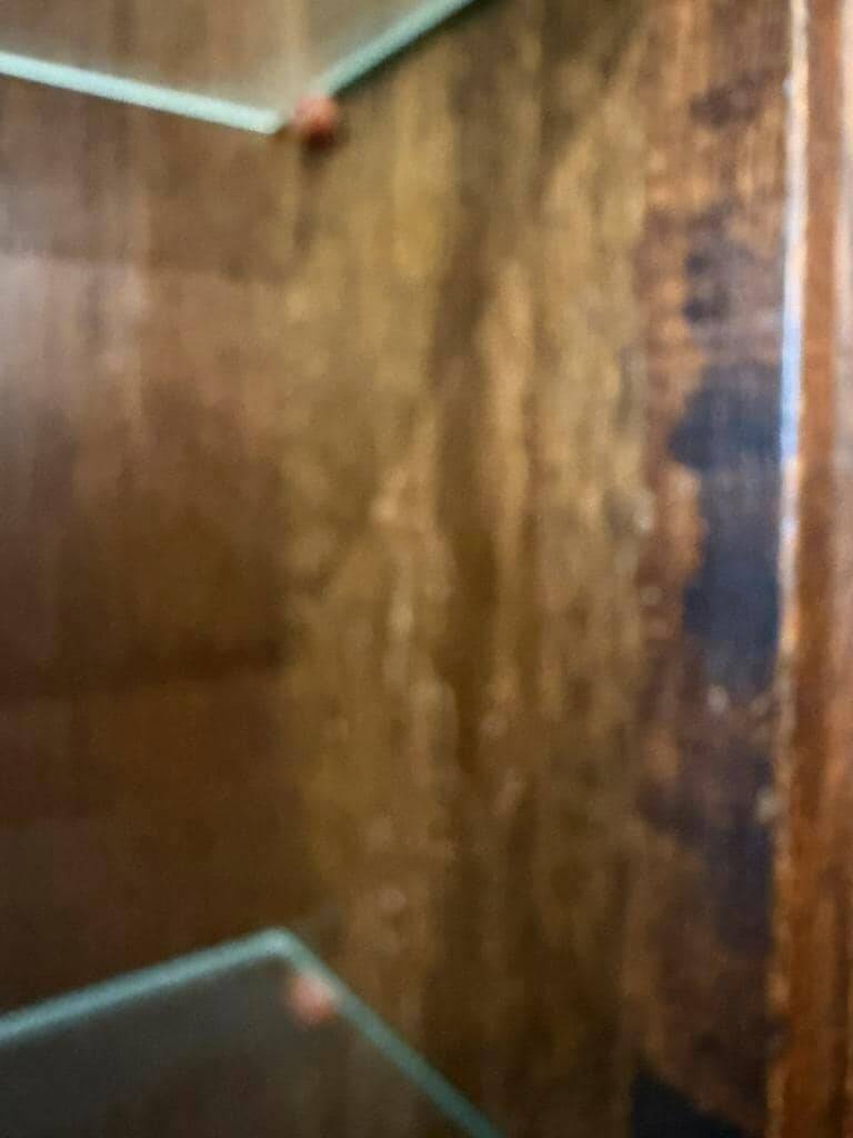 Vintage shallow wall display cabinet in wood / shelf