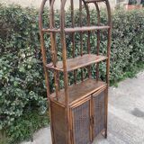 Rattan and canning library