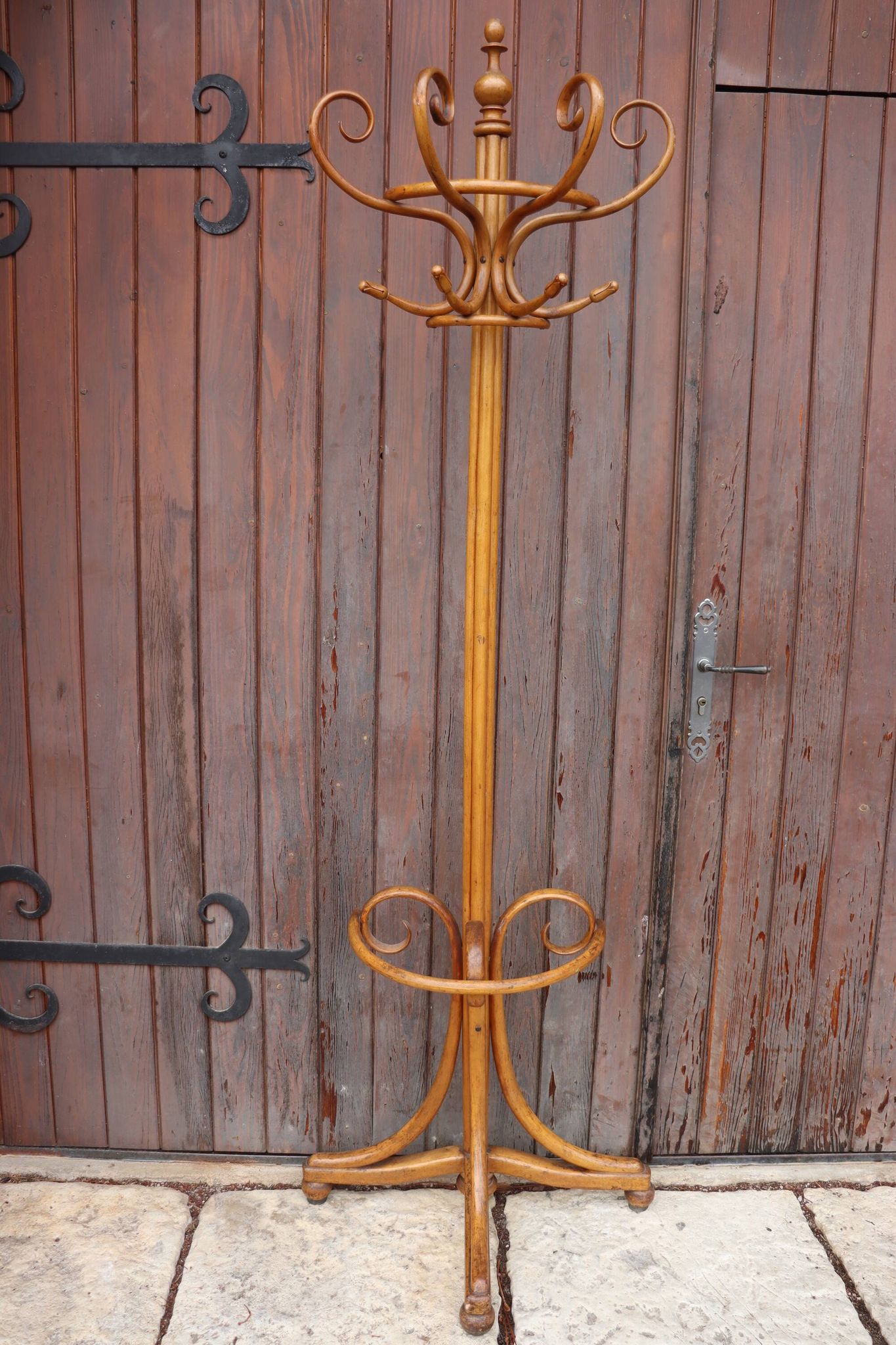 Portemanteau perroquet mural en demi style Thonet, 1900