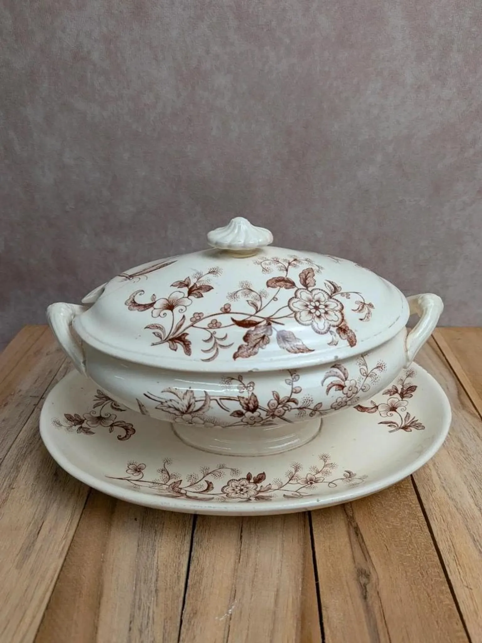 Antique sauce boat in ironstone from Salins – Sepia dragonfly decoration – With lid