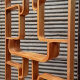 Claustra Ludvik Volák for Drevopodnik Holesov Room Divider separator
