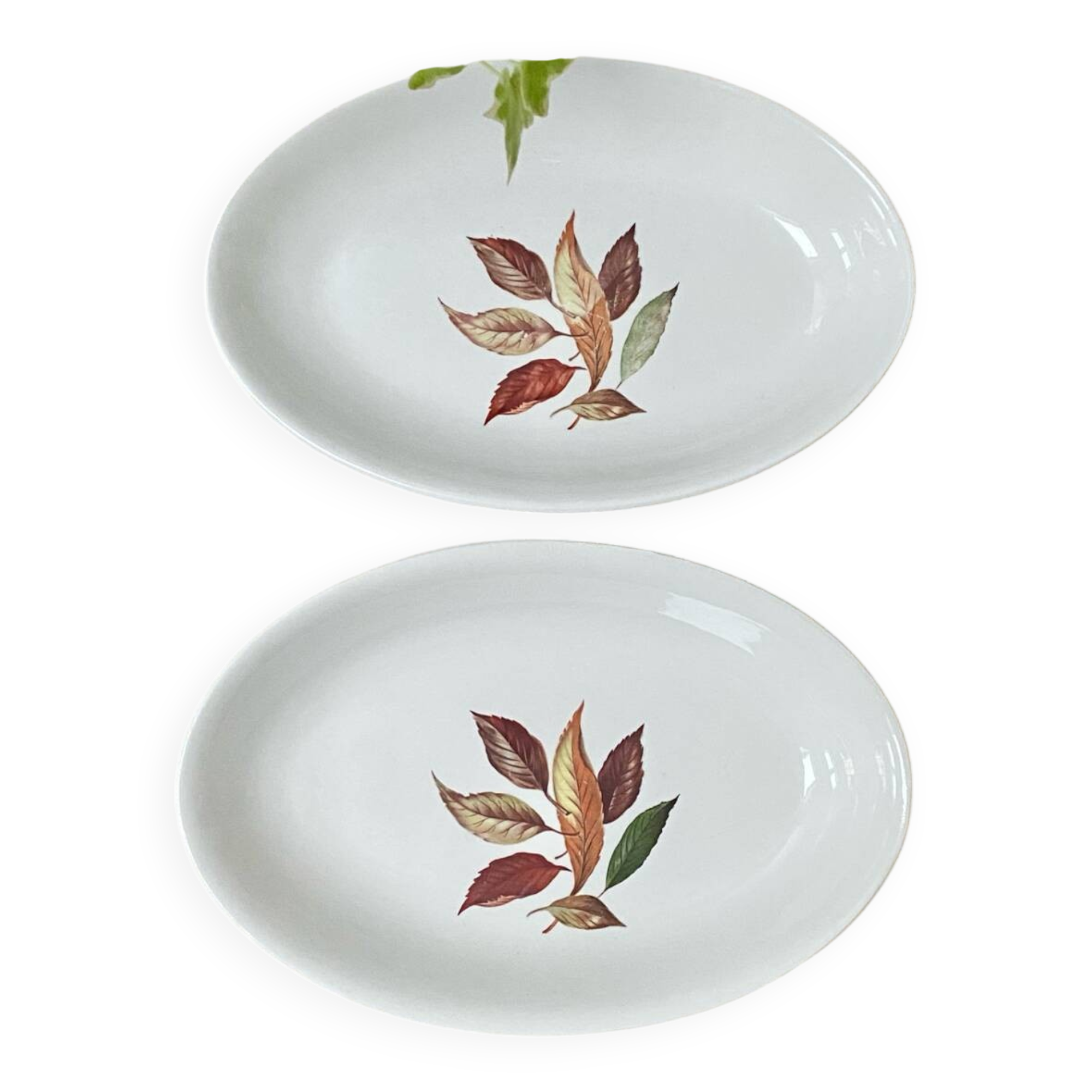 Pair of serving dishes