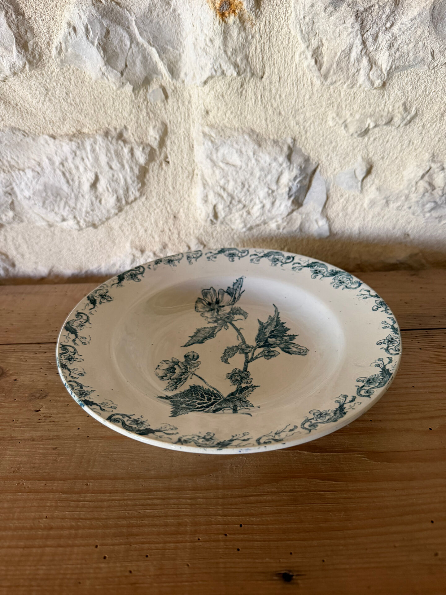 Shallow dish in Saint Amand ironstone