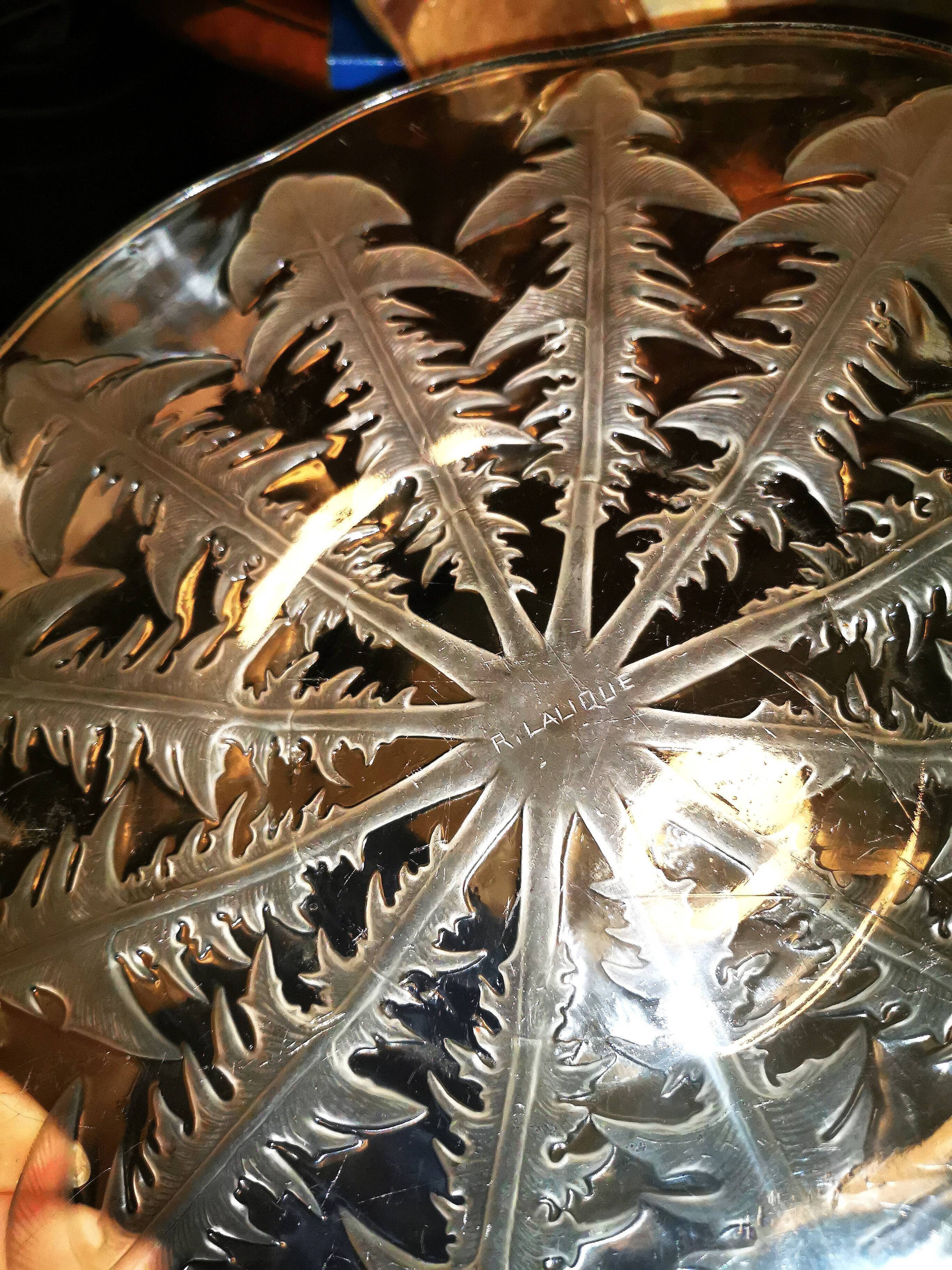 Dish by René Lalique, model "Dandelions", in patinated glass