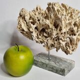 Antique White Coral on Grey Marble Base, 21 cm