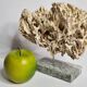 Antique White Coral on Grey Marble Base, 21 cm