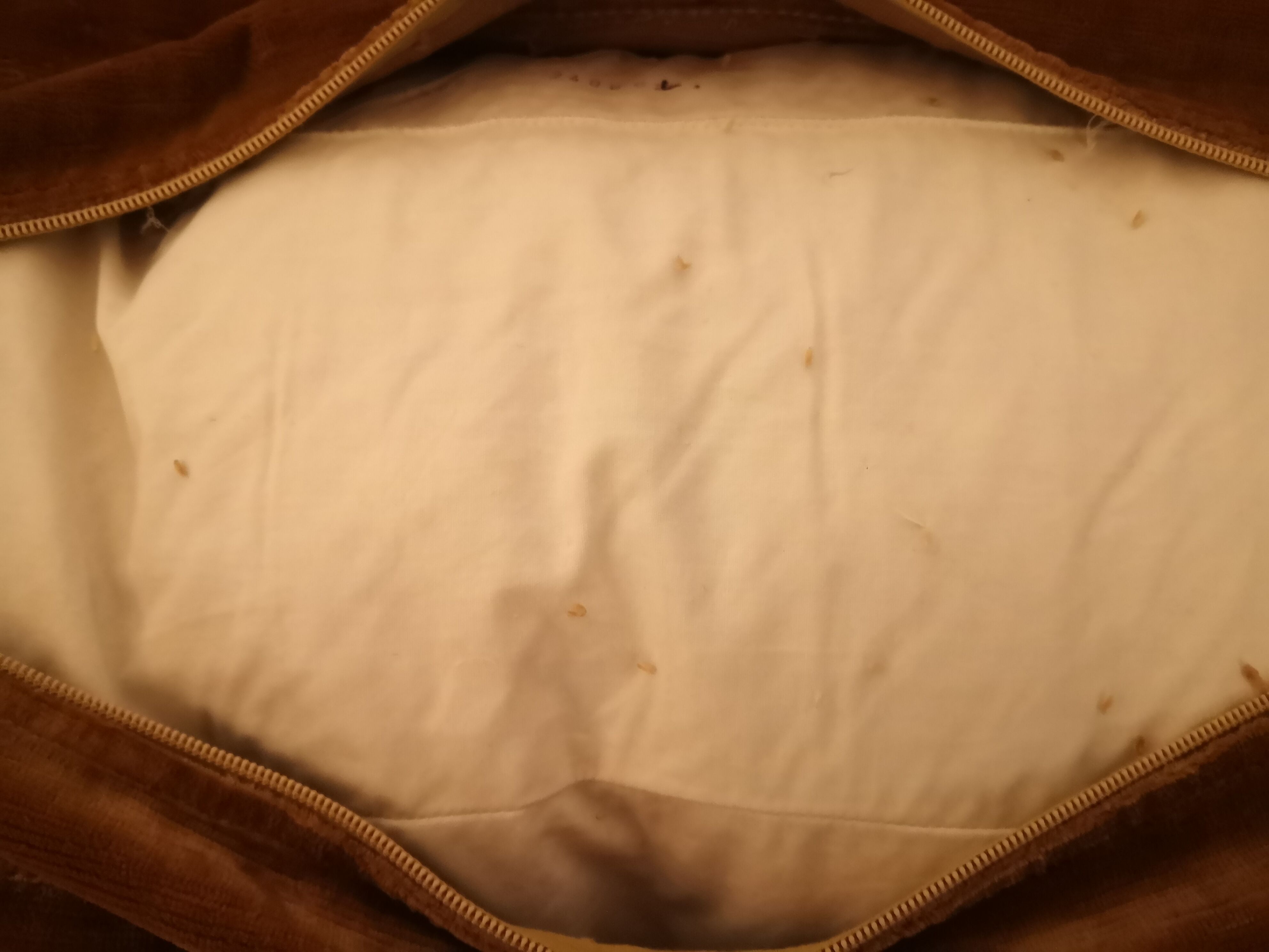 Velvet sofa