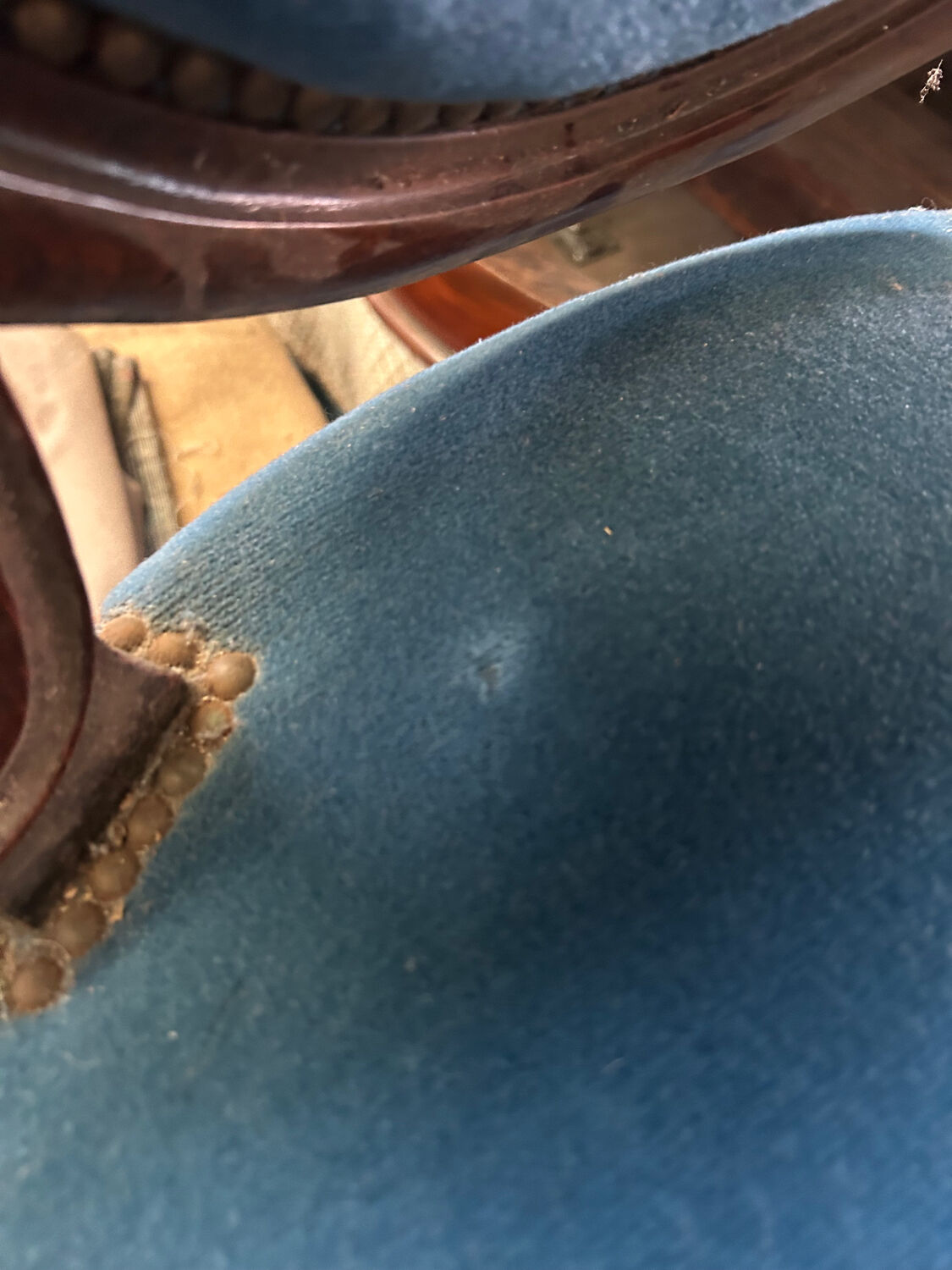 Louis Philippe armchair in rosewood