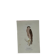 Planche Botanique Gravure oiseaux naturaliste  19eme recto verso  A