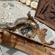 Superb Louis XV Bronze Fireplace Front with Roses 46cm / 114-150cm - 14