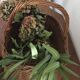 Woven wicker basket