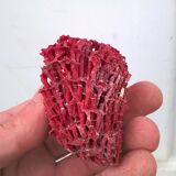 Vintage red coral duo