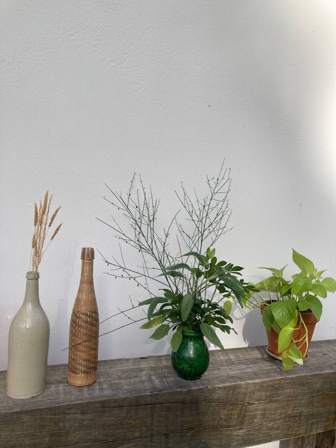 Vallauris 1950 Jordan Foucard vase in green ceramic